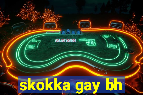 skokka gay bh